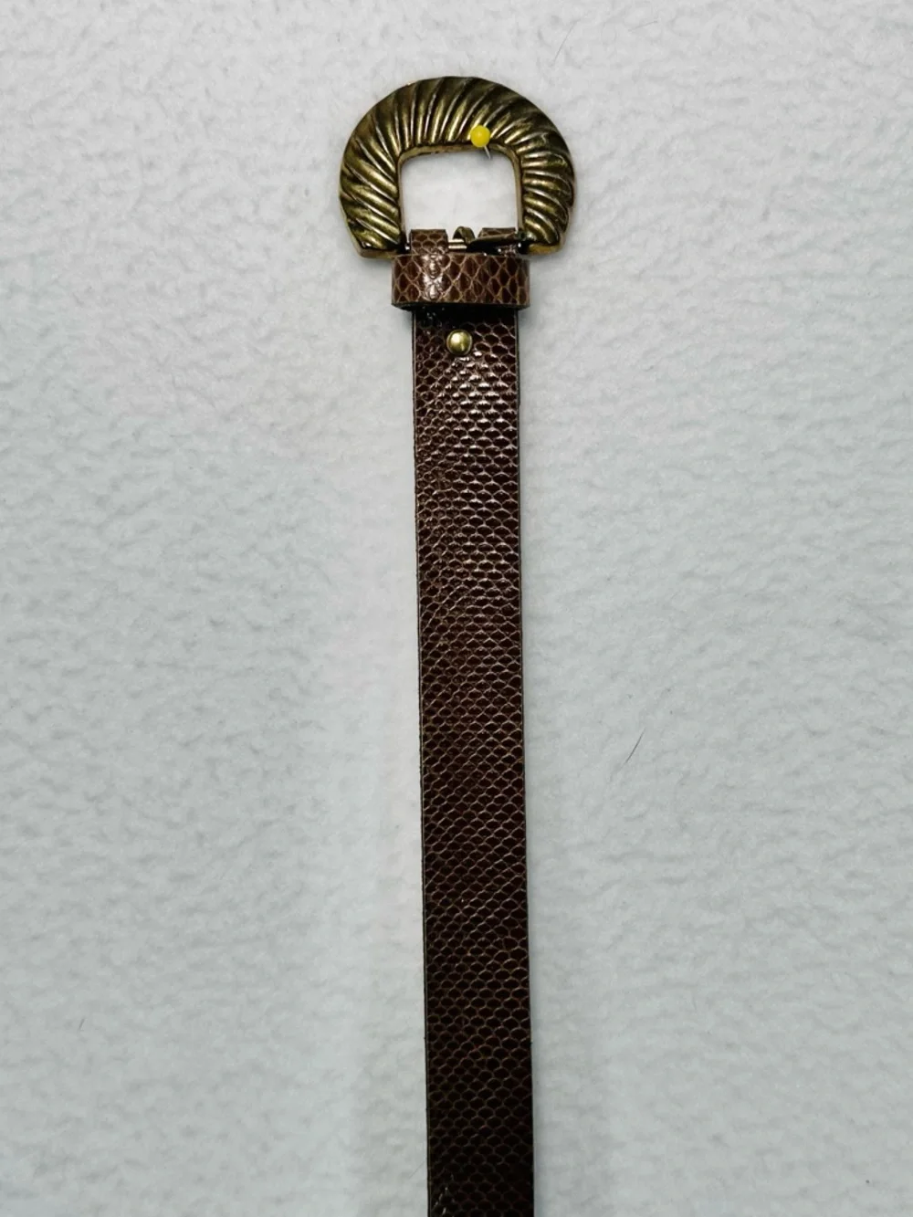 Vintage Lizard Belt Brown‎